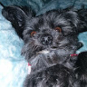 Meet your Posher, Lori rae